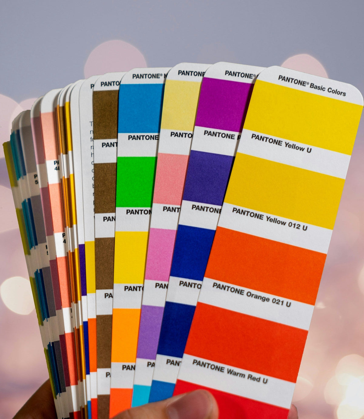CMYK vs CMYK+ Sticker Printing: An Honest Color Guide
